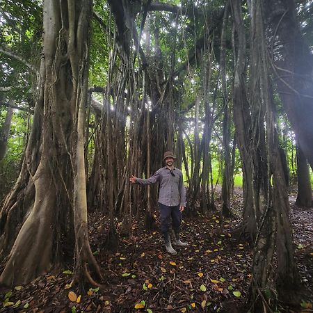 Hospedaje Y Tours Reina Arriera Amazonas Colombia Macedonia المظهر الخارجي الصورة