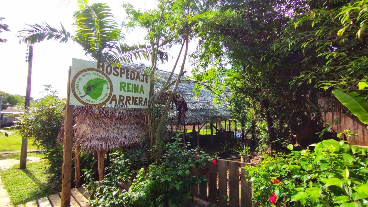 Hospedaje Y Tours Reina Arriera Amazonas Colombia Macedonia المظهر الخارجي الصورة