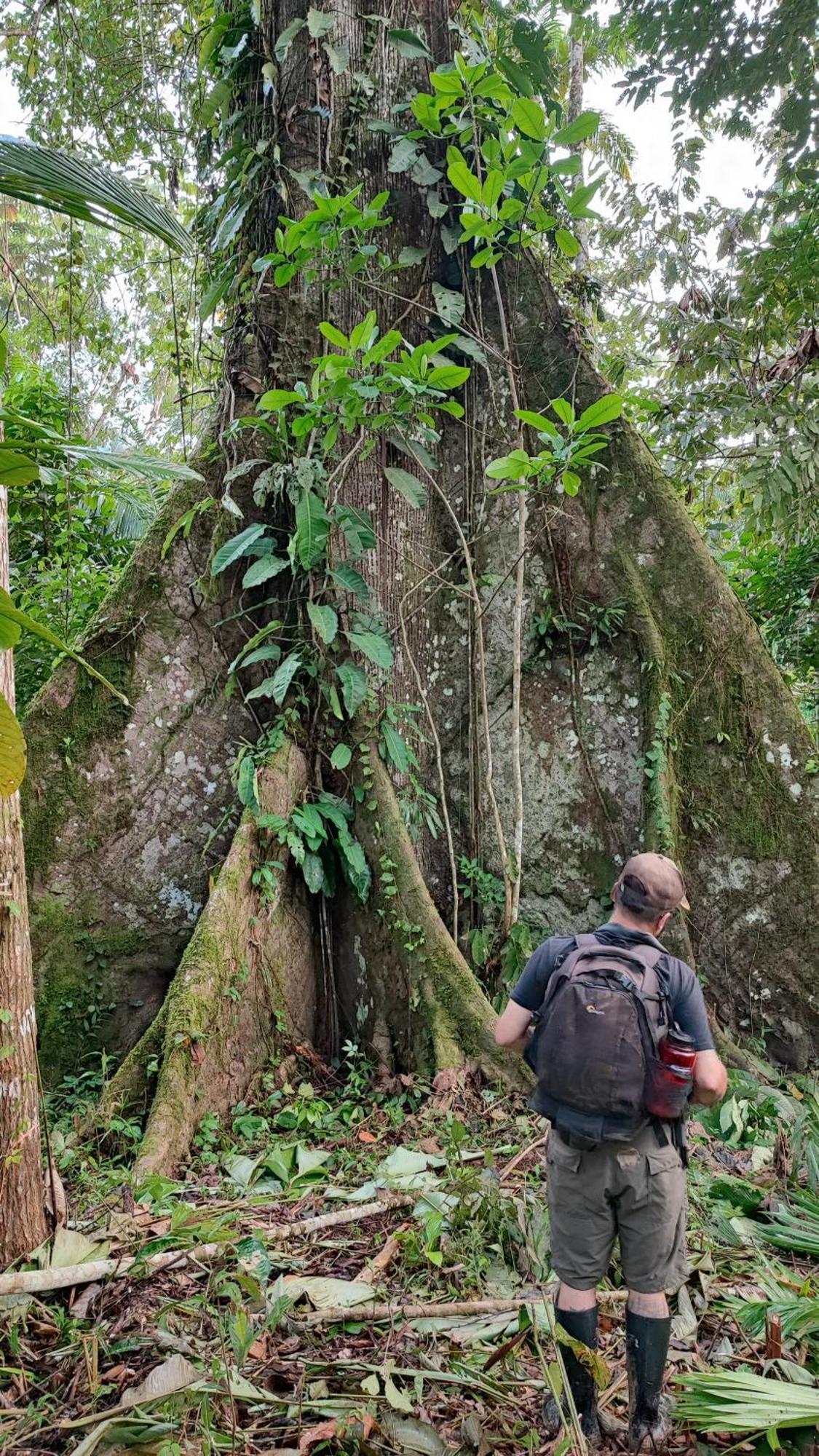 Hospedaje Y Tours Reina Arriera Amazonas Colombia Macedonia المظهر الخارجي الصورة