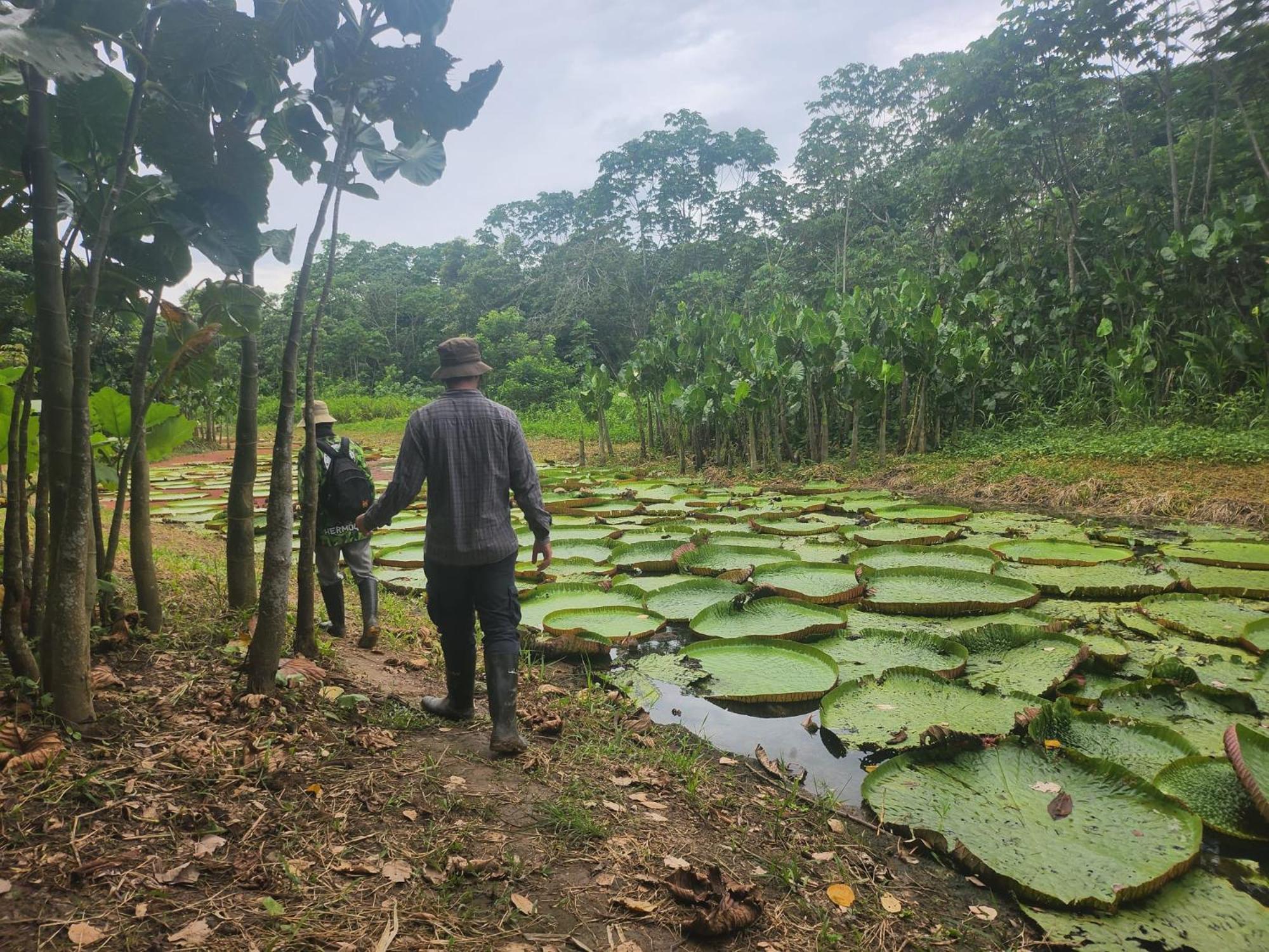 Hospedaje Y Tours Reina Arriera Amazonas Colombia Macedonia المظهر الخارجي الصورة