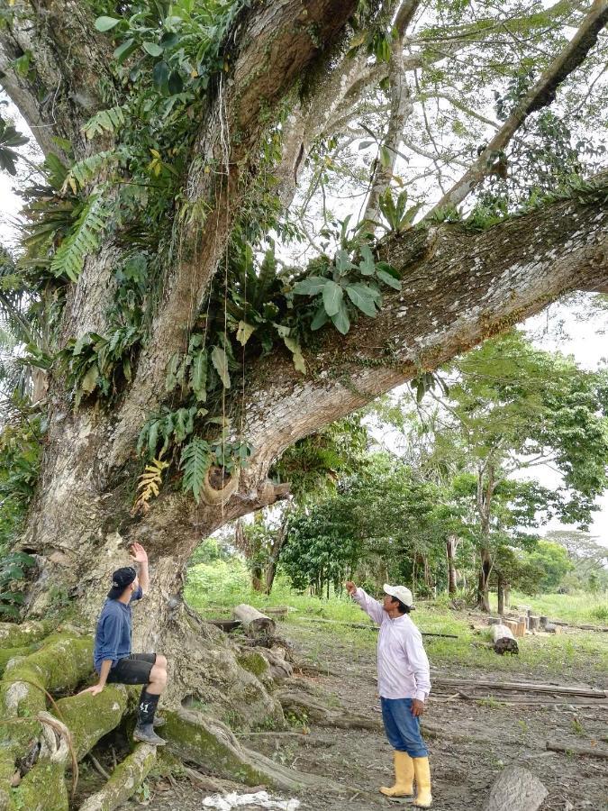 Hospedaje Y Tours Reina Arriera Amazonas Colombia Macedonia المظهر الخارجي الصورة